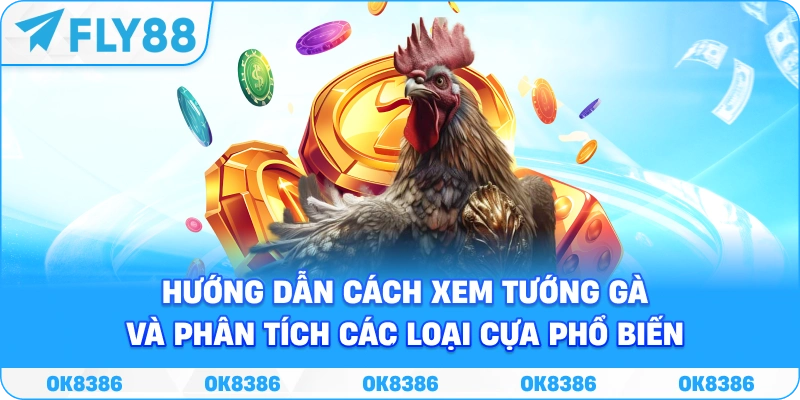 Kinh nghiệm theo dõi đá gà FLY88 Hướng dẫn theo dõi thông tin chiến kê và loại hình đá gà tại FLY88