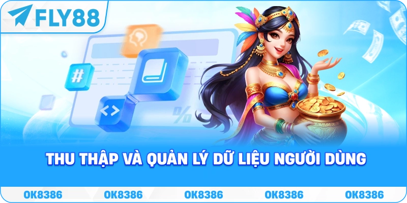 Quyền riêng tư FLY88 và quản lý dữ liệu người dùng Thu thập và quản lý dữ liệu người dùng tại FLY88